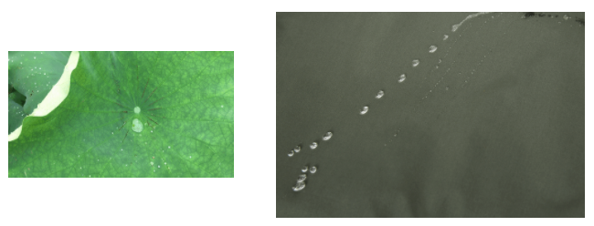 好体育官方登录网址医用纺织