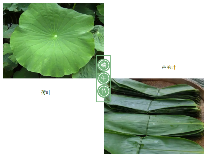 好体育官方登录网址医纺