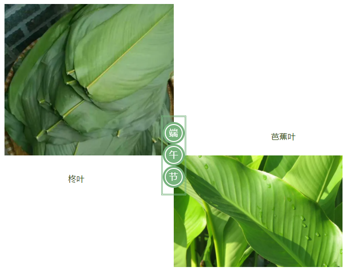 好体育官方登录网址医纺