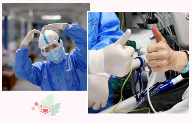 好体育官方登录网址纺织