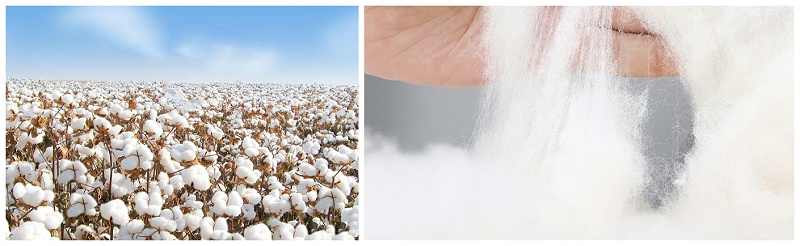 好体育官方登录网址医纺