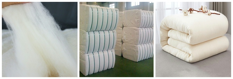 好体育官方登录网址医纺