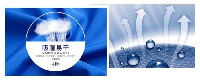 好体育官方登录网址医纺