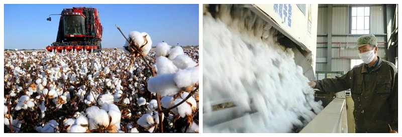 好体育官方登录网址医纺