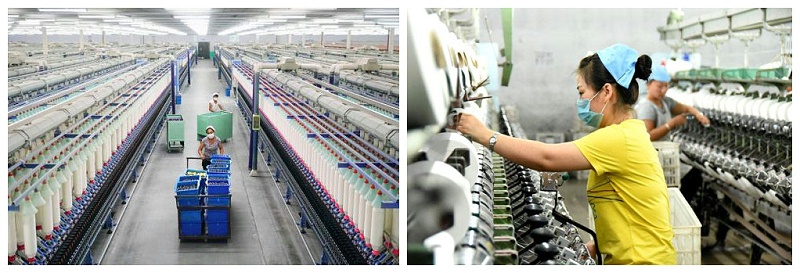 好体育官方登录网址医纺