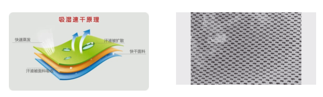 好体育官方登录网址医用纺织