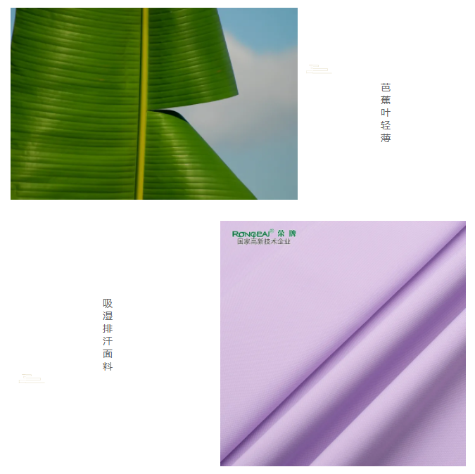 好体育官方登录网址医纺