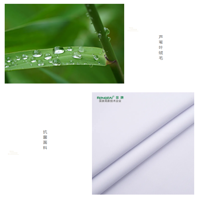 好体育官方登录网址医纺