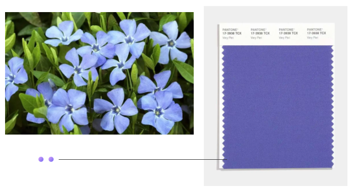 好体育官方登录网址纺织面料