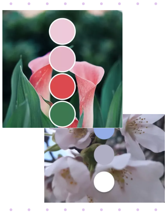 好体育官方登录网址纺织面料