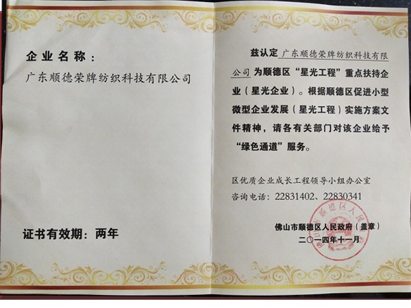 好体育官方登录网址荣获政府重点扶持企业